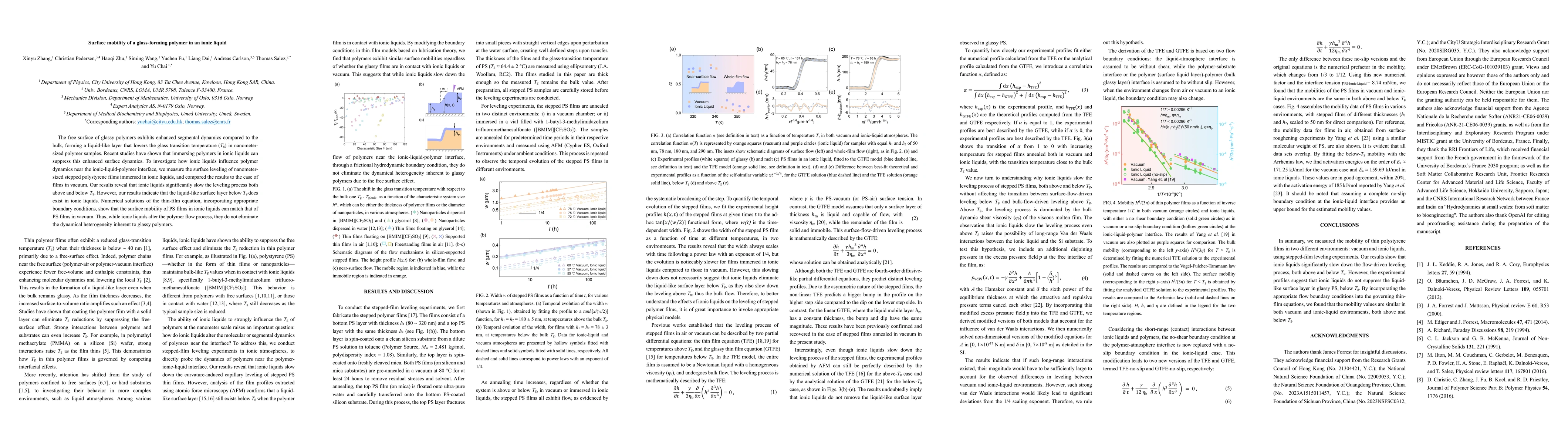 Thumbnail for Surface mobility of a glass-forming polymer in an ionic liquid