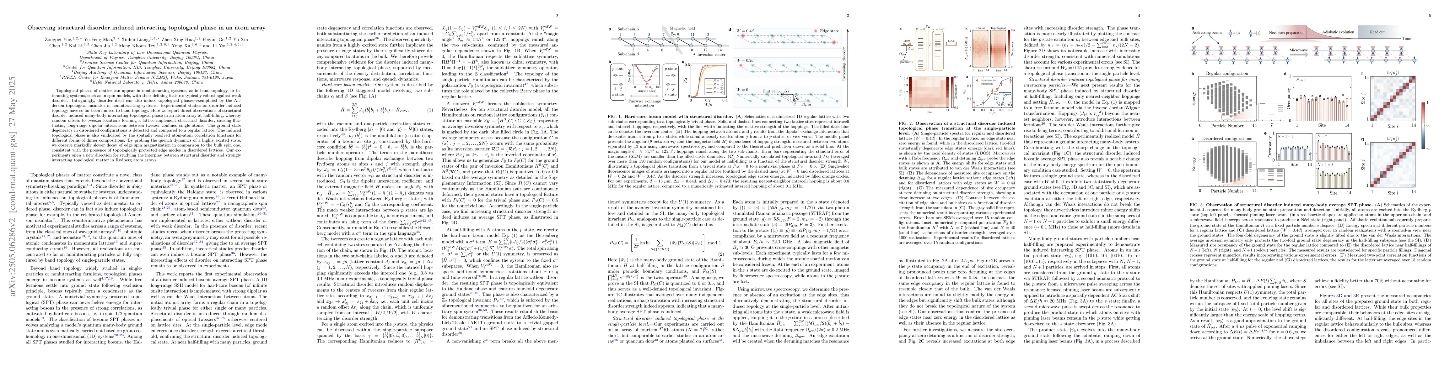 Thumbnail for Observing structural disorder induced interacting topological phase in
  an atom array