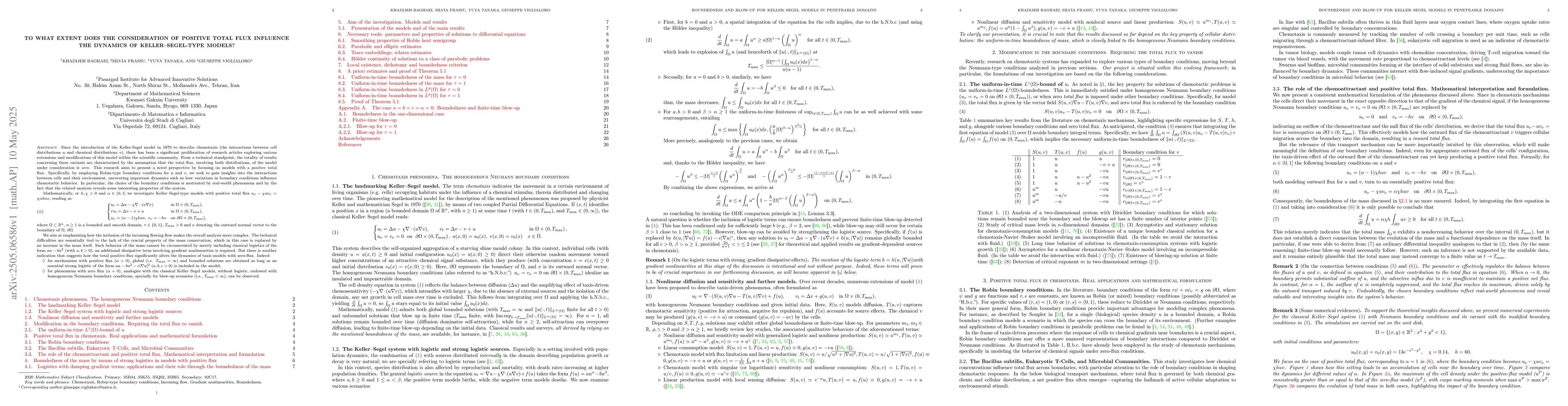 Thumbnail for To what extent does the consideration of positive total flux influence
  the dynamics of Keller-Segel-type models?