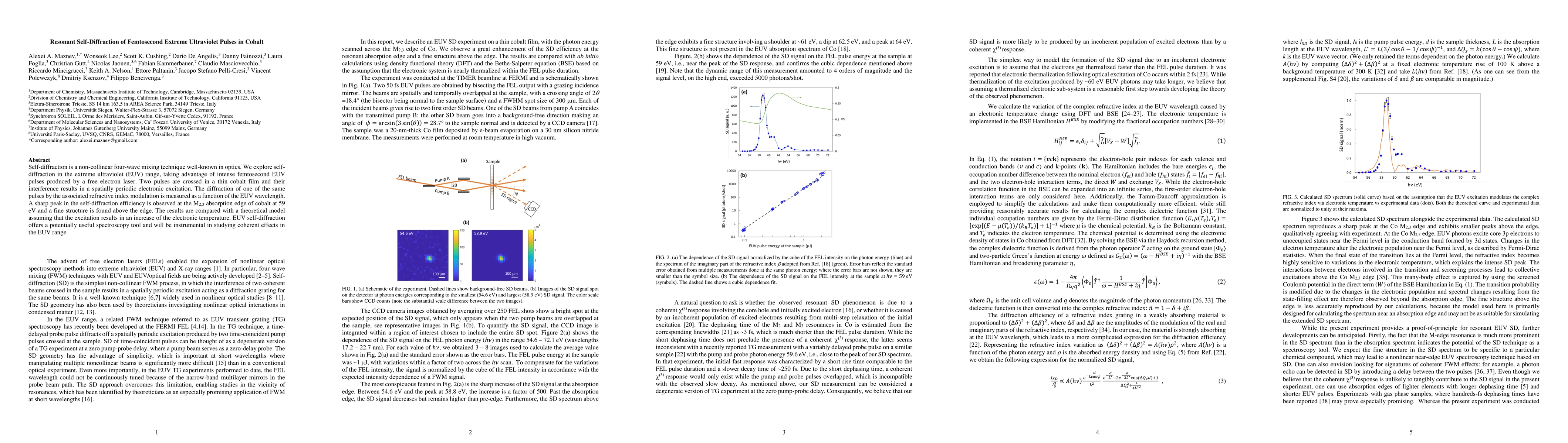 Thumbnail for Resonant Self-Diffraction of Femtosecond Extreme Ultraviolet Pulses in
  Cobalt