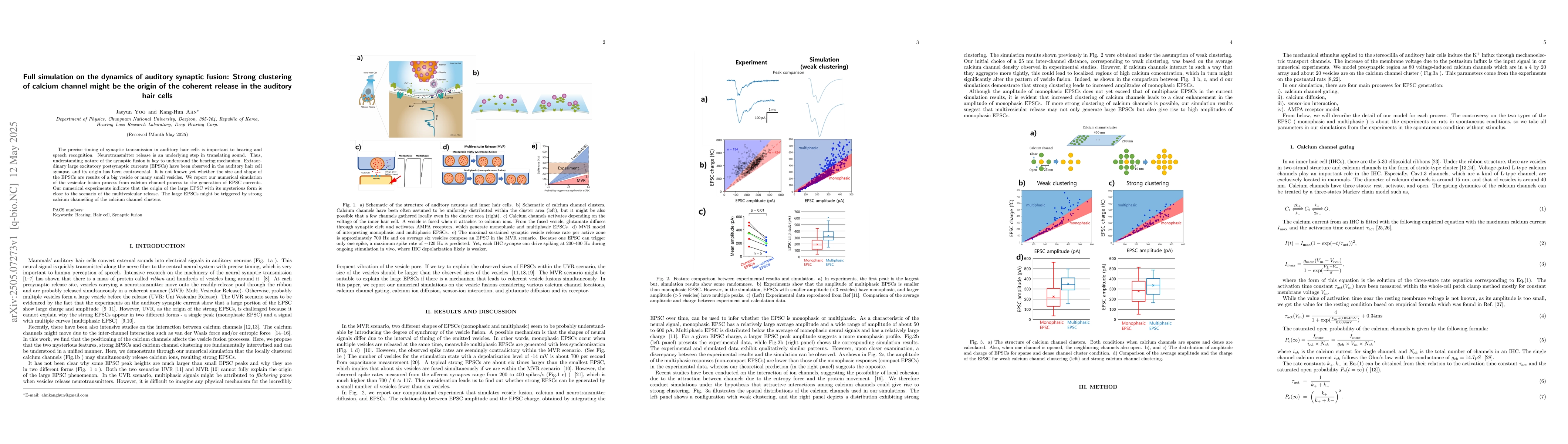 Thumbnail for Full simulation on the dynamics of auditory synaptic fusion: Strong
  clustering of calcium channel might be the origin of the coherent release in
  the auditory hair cells