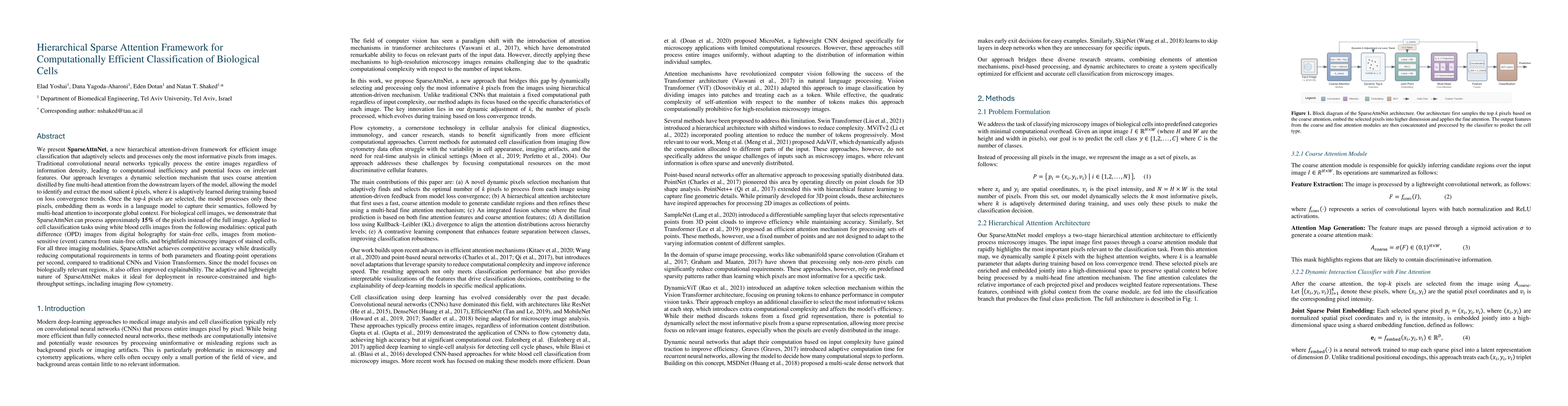 Thumbnail for Hierarchical Sparse Attention Framework for Computationally Efficient
  Classification of Biological Cells