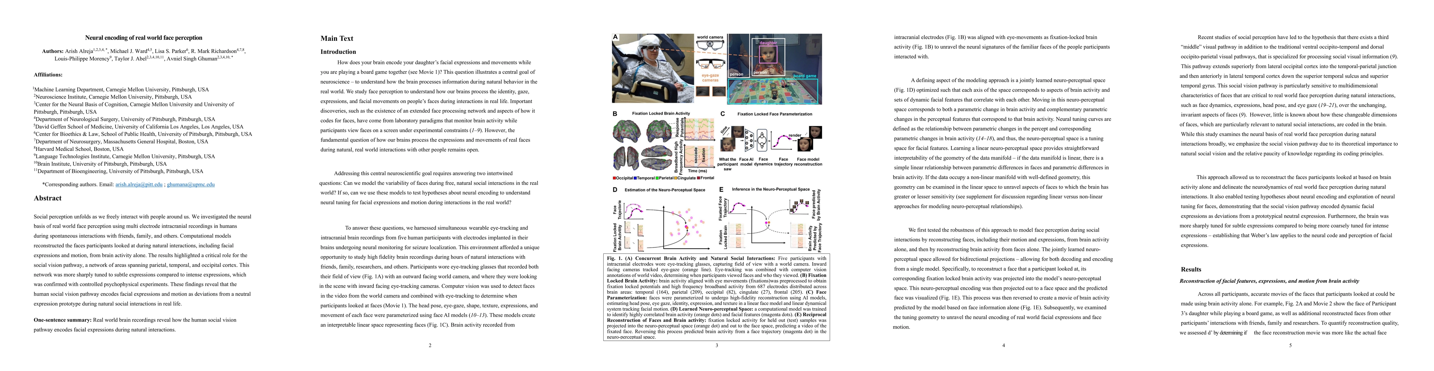Thumbnail for Neural encoding of real world face perception