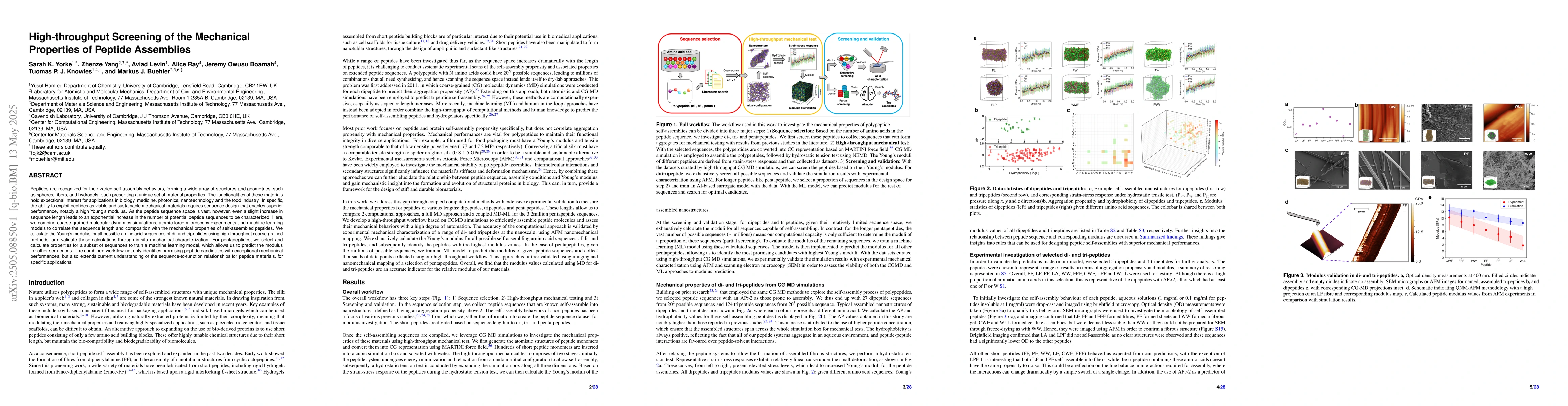 Thumbnail for High-throughput Screening of the Mechanical Properties of Peptide
  Assemblies