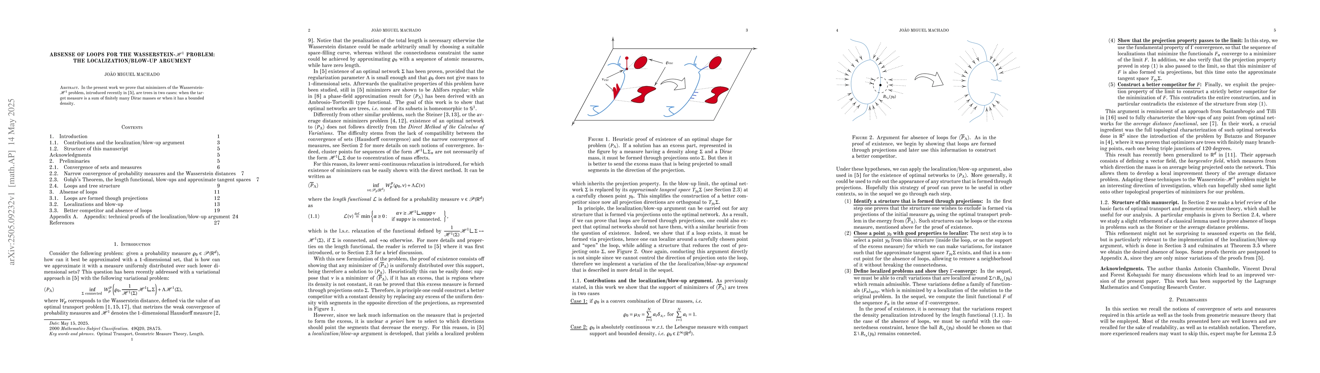Thumbnail for Absense of loops for the Wasserstein-$\mathcal{H}^1$ problem: the
  localization/blow-up argument