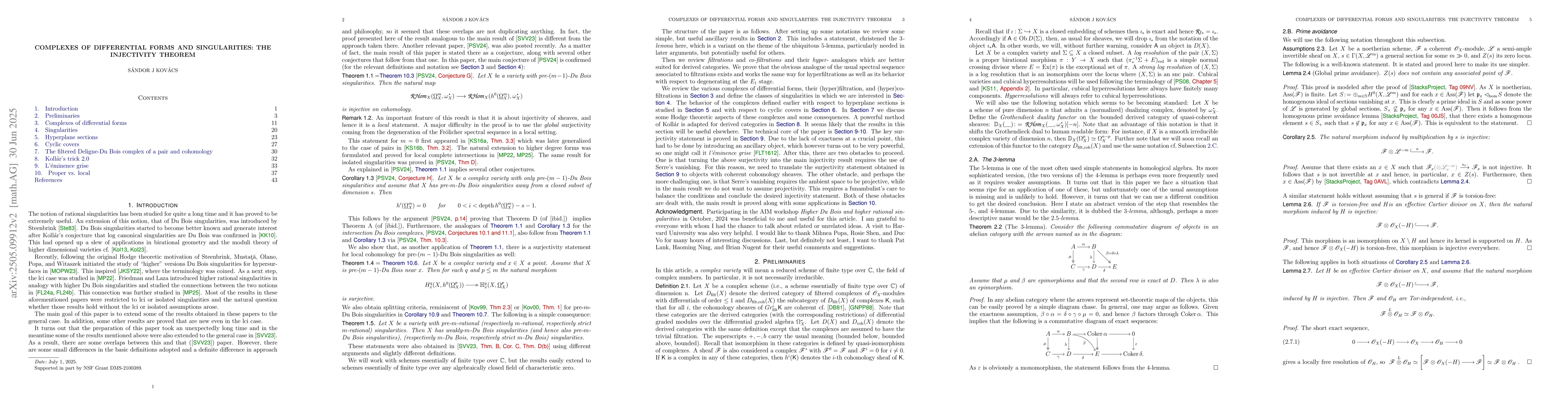 Thumbnail for Complexes of differential forms and singularities: The injectivity
  theorem