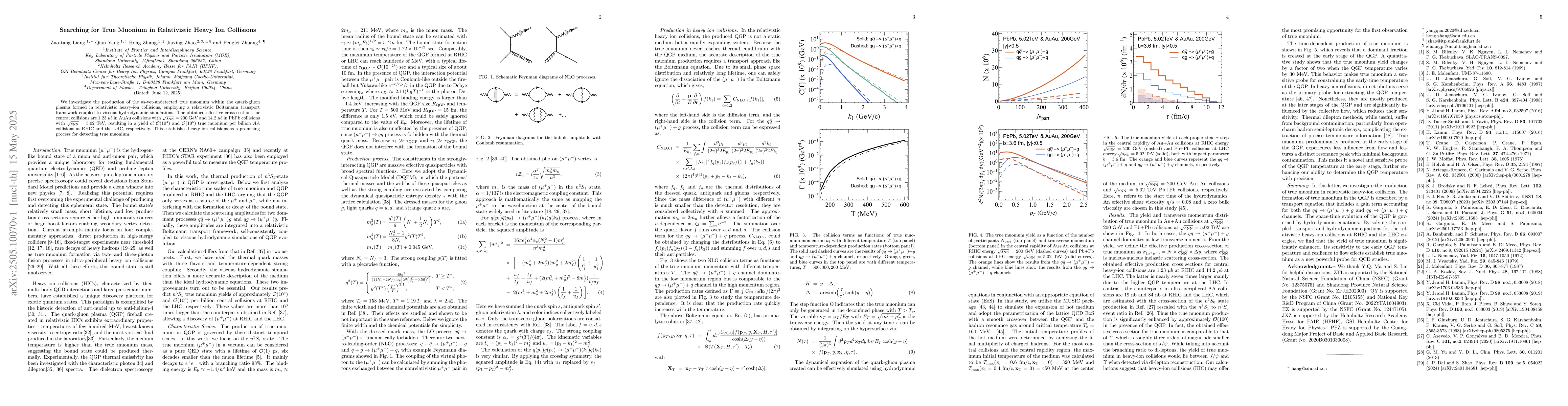 Thumbnail for Searching for True Muonium in Relativistic Heavy Ion Collisions