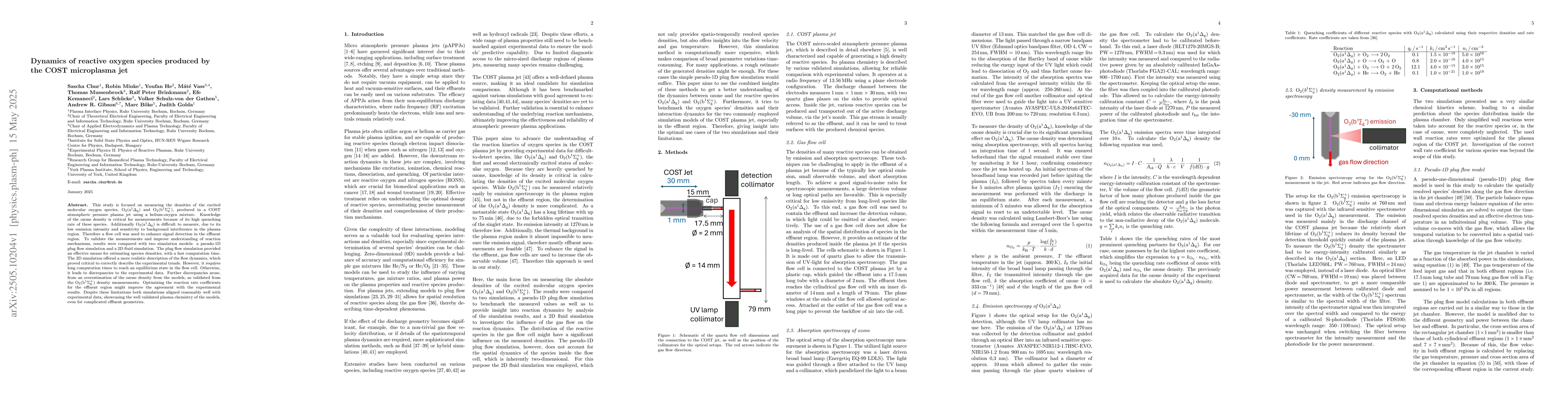Thumbnail for Dynamics of reactive oxygen species produced by the COST microplasma jet