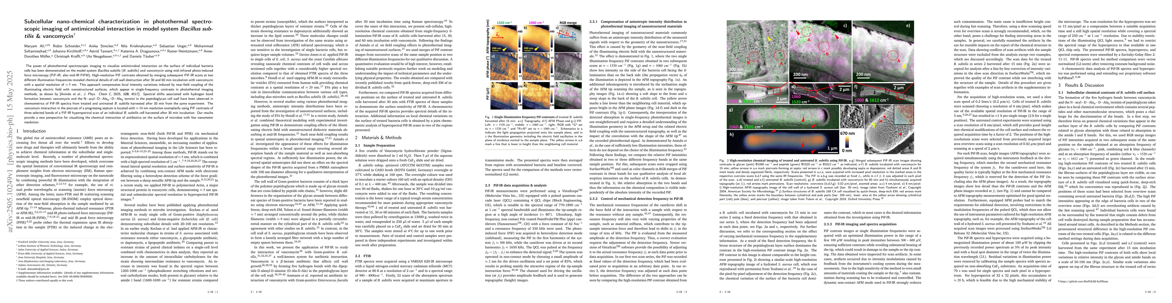 Thumbnail for Subcellular nano-chemical characterization in photothermal spectroscopic
  imaging of antimicrobial interaction in model system Bacillus subtilis &
  vancomycin