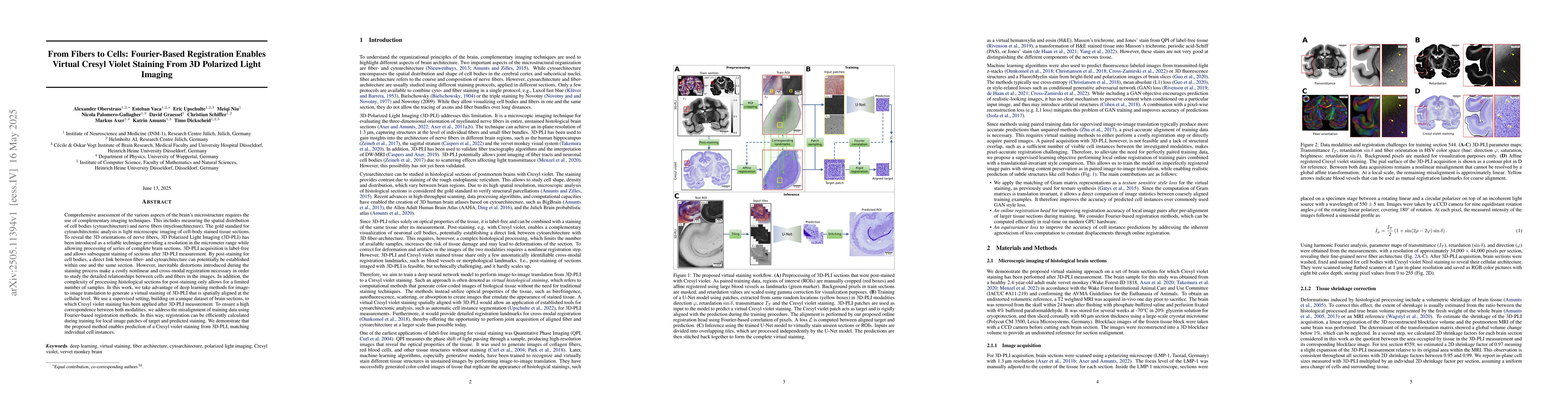 Thumbnail for From Fibers to Cells: Fourier-Based Registration Enables Virtual Cresyl
  Violet Staining From 3D Polarized Light Imaging