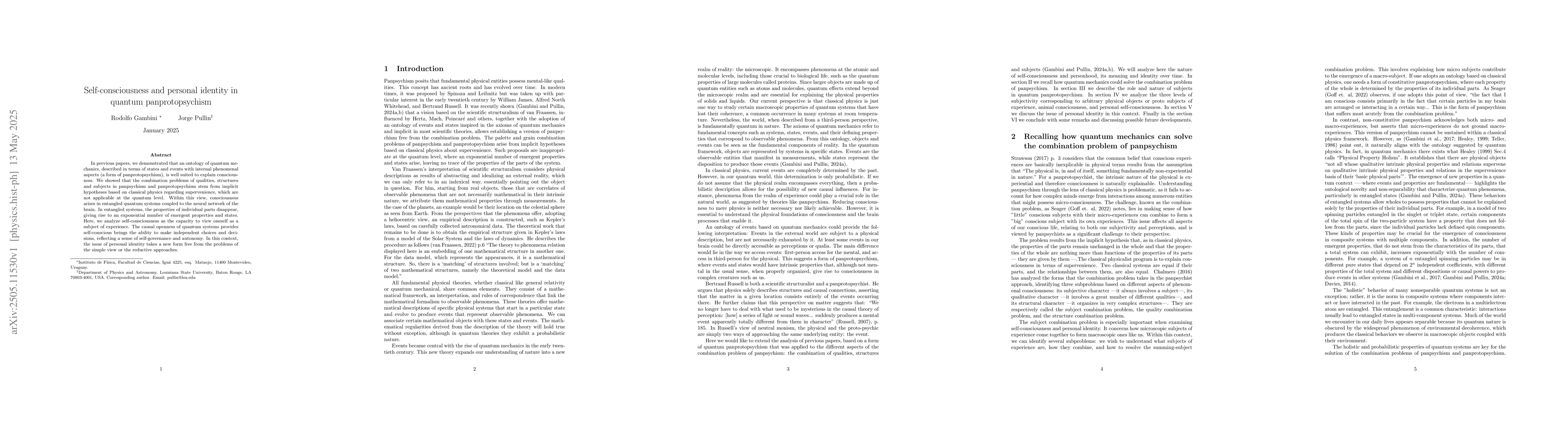 Thumbnail for Self-consciousness and personal identity in quantum panprotopsychism