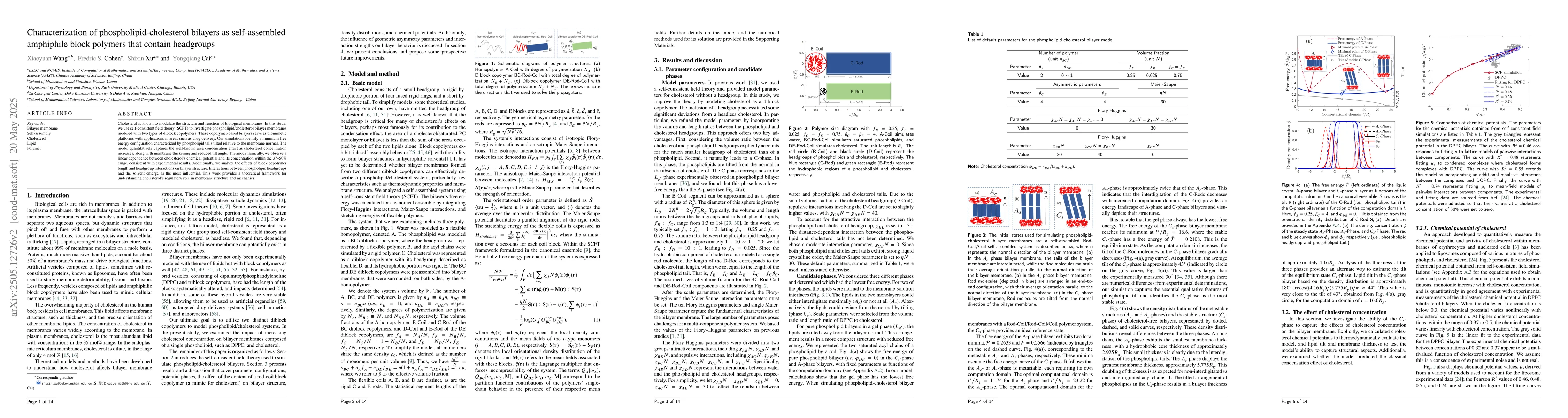 Thumbnail for Characterization of phospholipid-cholesterol bilayers as self-assembled
  amphiphile block polymers that contain headgroups