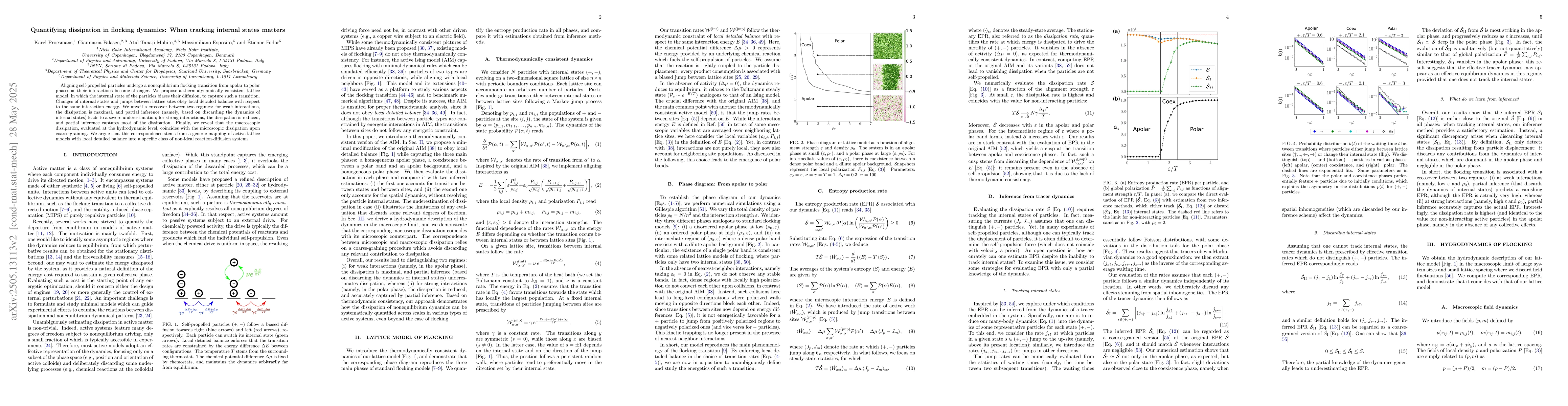 Thumbnail for Quantifying dissipation in flocking dynamics: When tracking internal
  states matters
