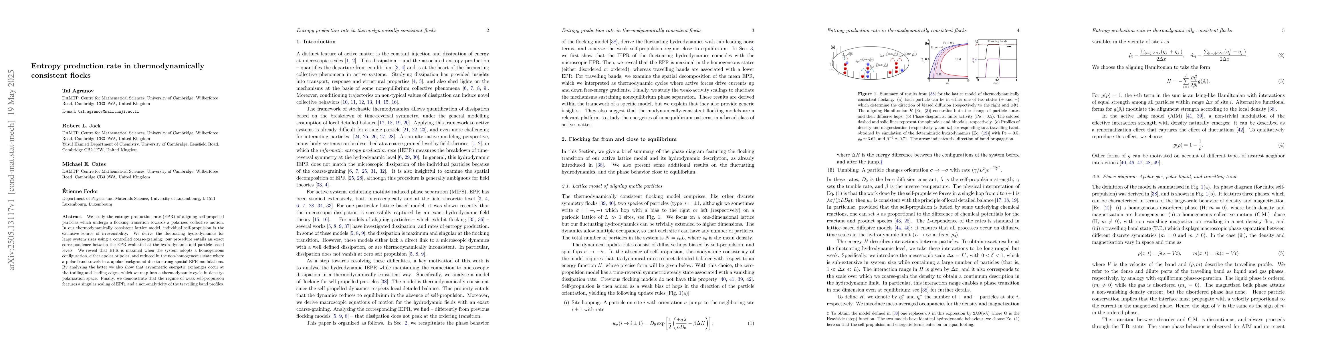 Thumbnail for Entropy production rate in thermodynamically consistent flocks