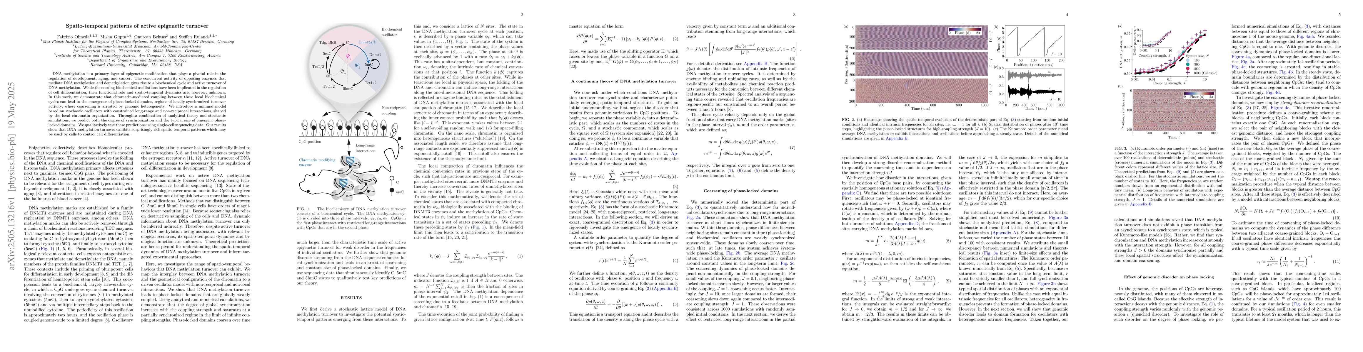Thumbnail for Spatio-temporal patterns of active epigenetic turnover