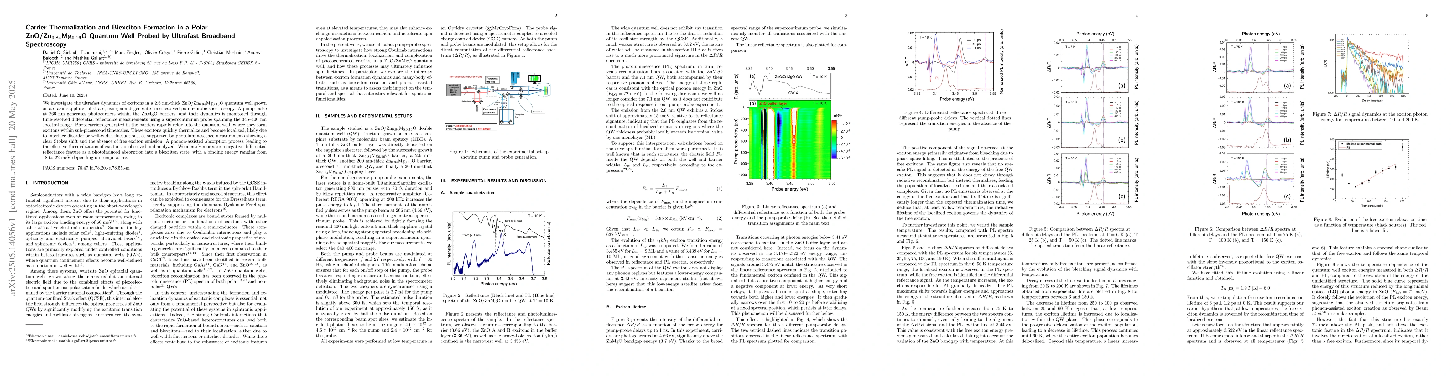 Thumbnail for Carrier Thermalization and Biexciton Formation in a Polar
  ZnO/Zn$_{0.84}$Mg$_{0.16}$O Quantum Well Probed by Ultrafast Broadband
  Spectroscopy