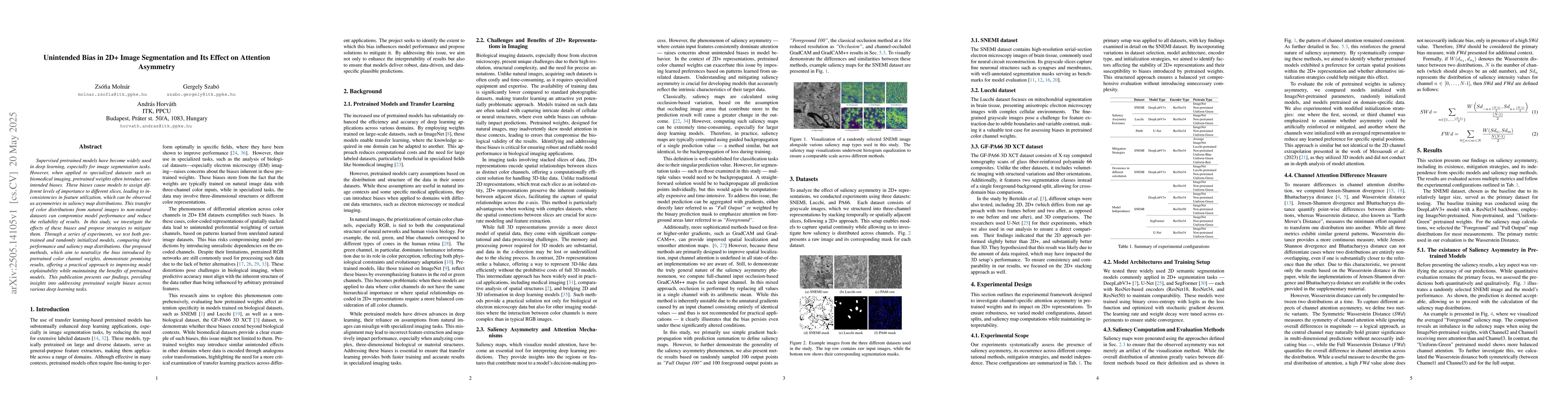 Thumbnail for Unintended Bias in 2D+ Image Segmentation and Its Effect on Attention
  Asymmetry
