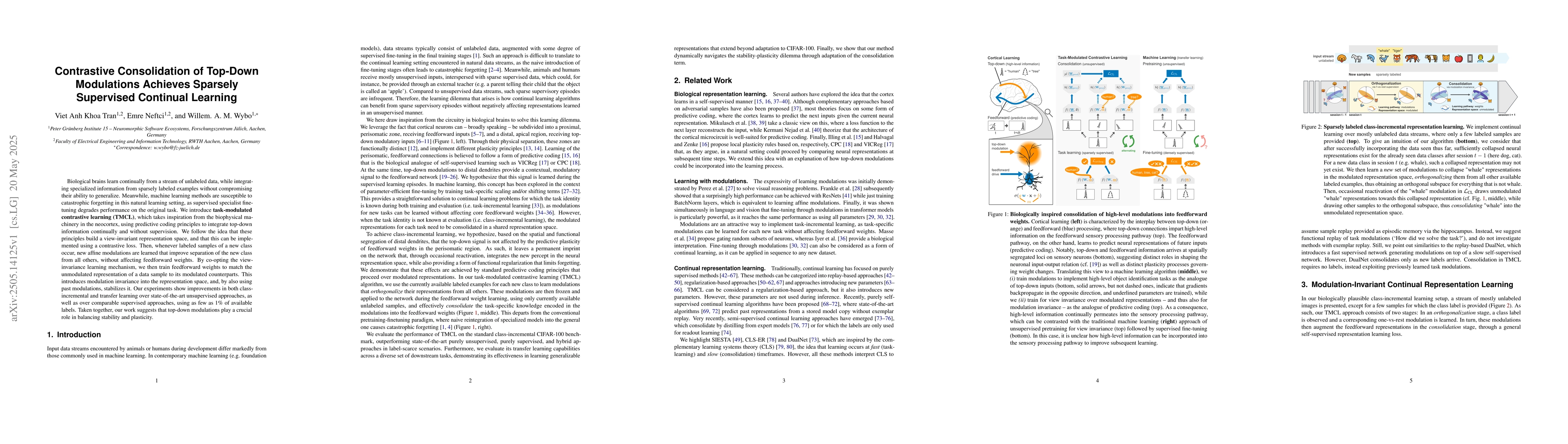 Thumbnail for Contrastive Consolidation of Top-Down Modulations Achieves Sparsely
  Supervised Continual Learning
