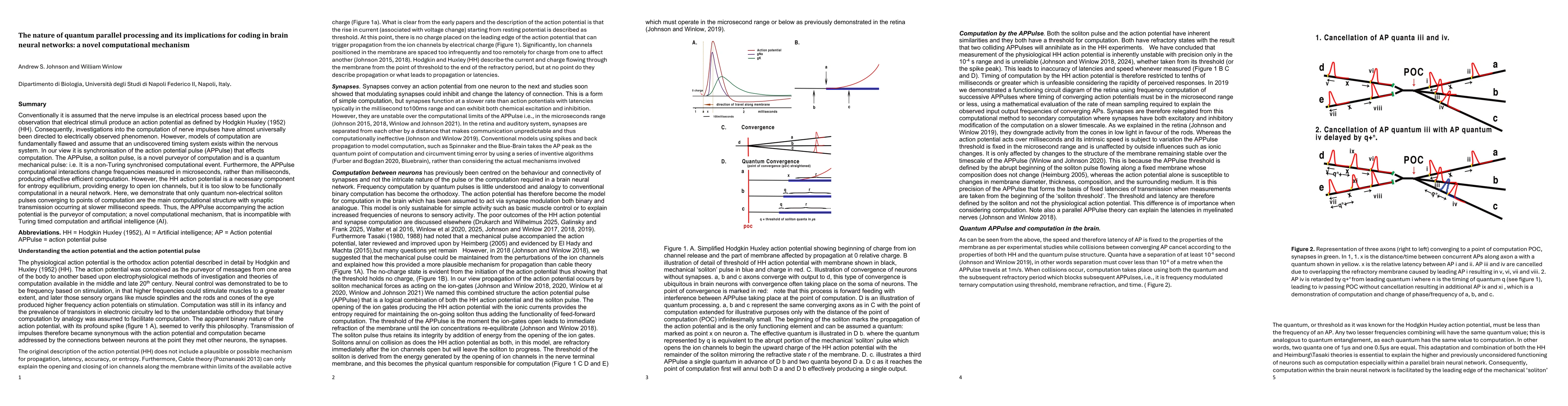 Thumbnail for The nature of quantum parallel processing and its implications for
  coding in brain neural networks: a novel computational mechanism
