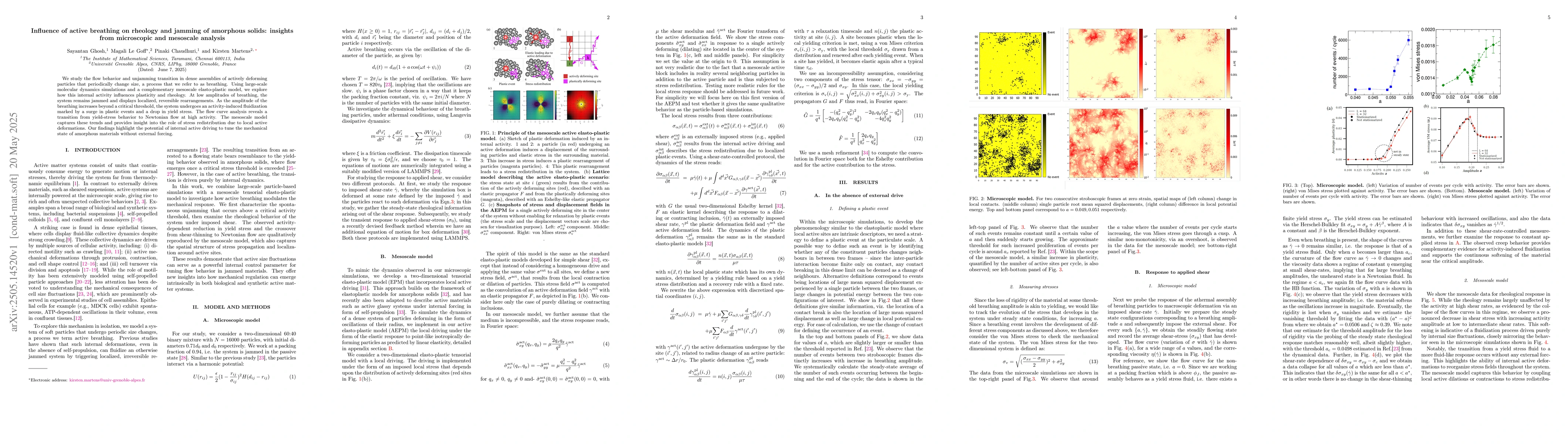 Thumbnail for Influence of active breathing on rheology and jamming of amorphous
  solids: insights from microscopic and mesoscale analysis