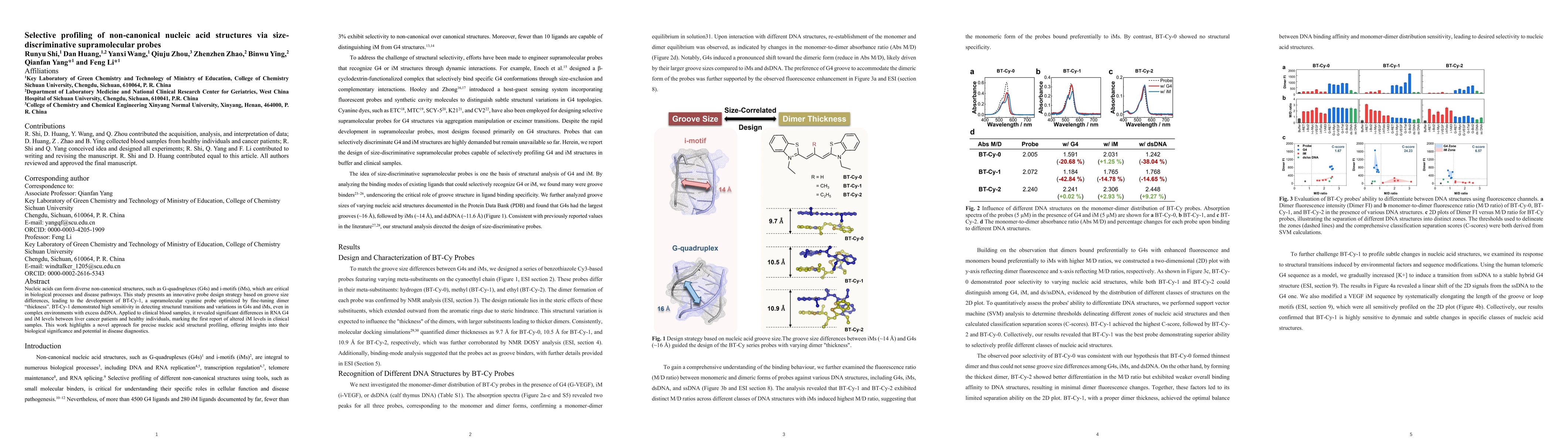 Thumbnail for Selective profiling of non-canonical nucleic acid structures via
  size-discriminative supramolecular probes