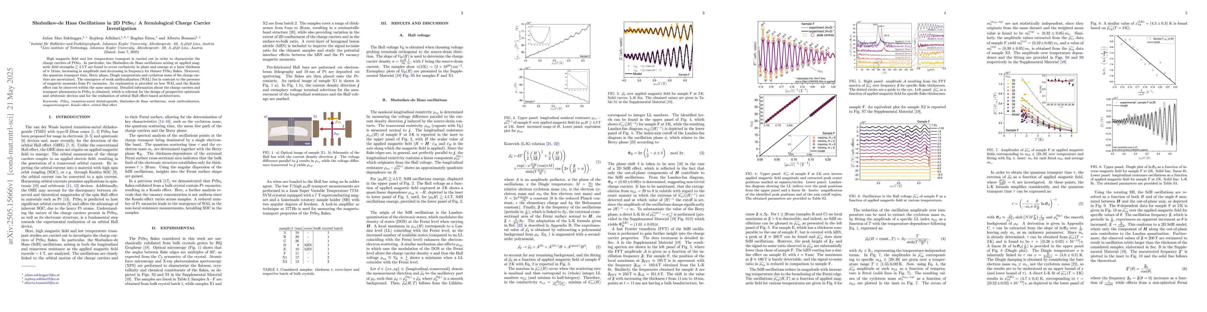 Thumbnail for Shubnikov-de Haas Oscillations in 2D $\text{PtSe}_2$: A fermiological
  Charge Carrier Investigation