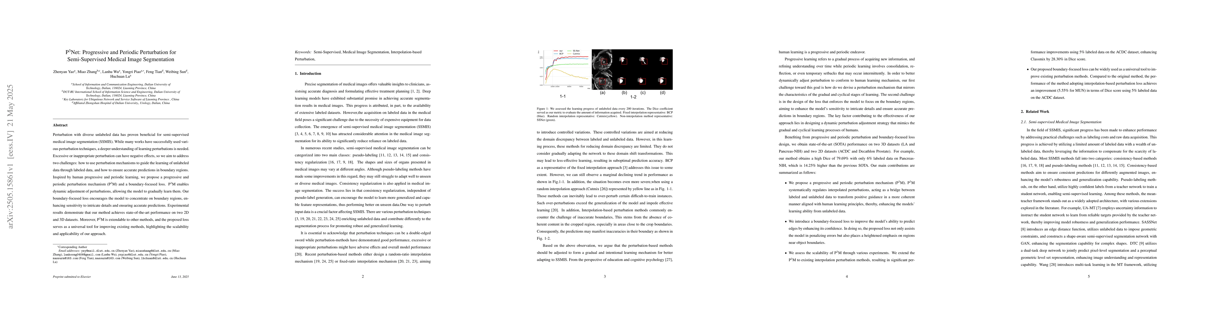 Thumbnail for P3Net: Progressive and Periodic Perturbation for Semi-Supervised Medical
  Image Segmentation