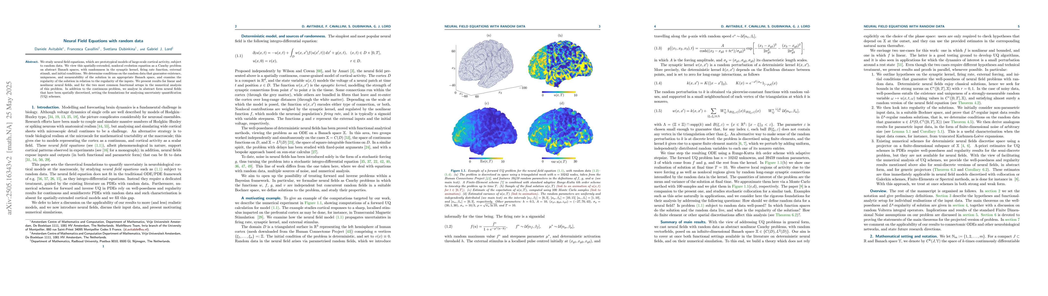 Thumbnail for Neural Field Equations with random data
