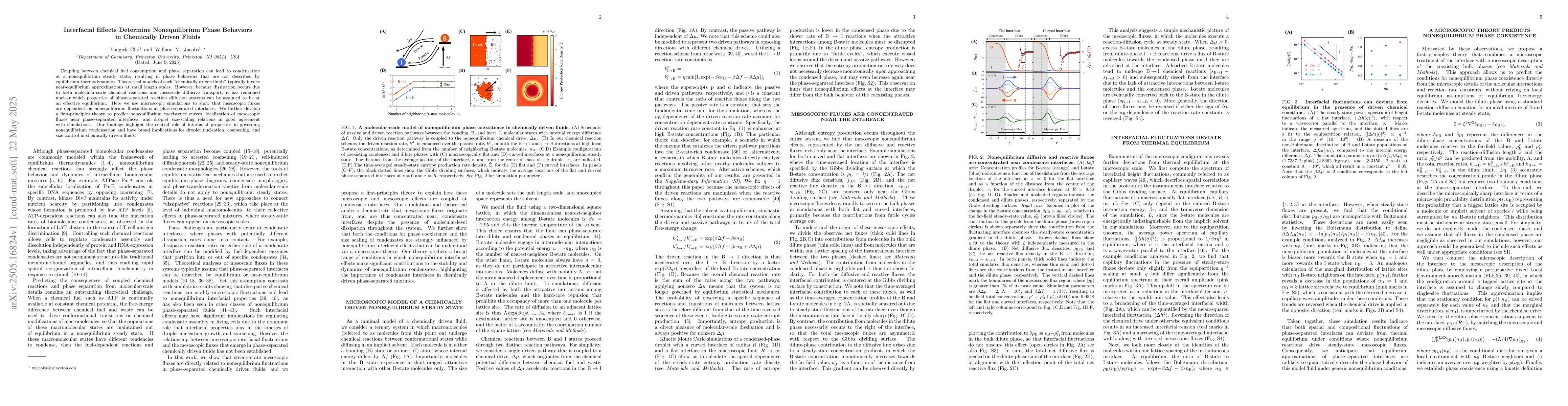 Thumbnail for Interfacial Effects Determine Nonequilibrium Phase Behaviors in
  Chemically Driven Fluids
