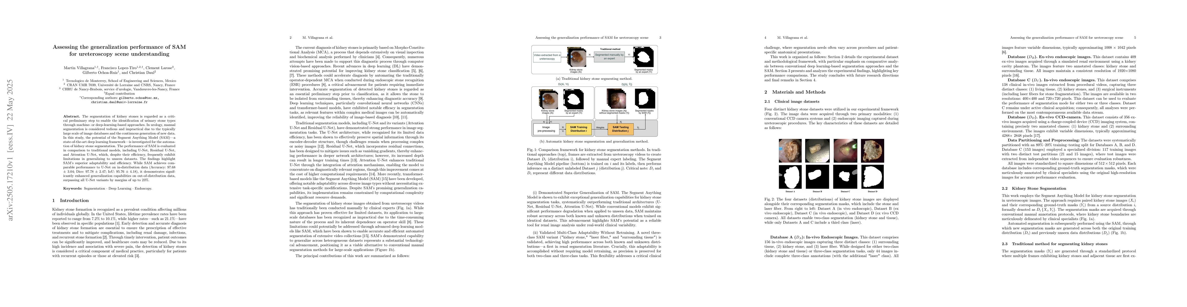 Thumbnail for Assessing the generalization performance of SAM for ureteroscopy scene
  understanding