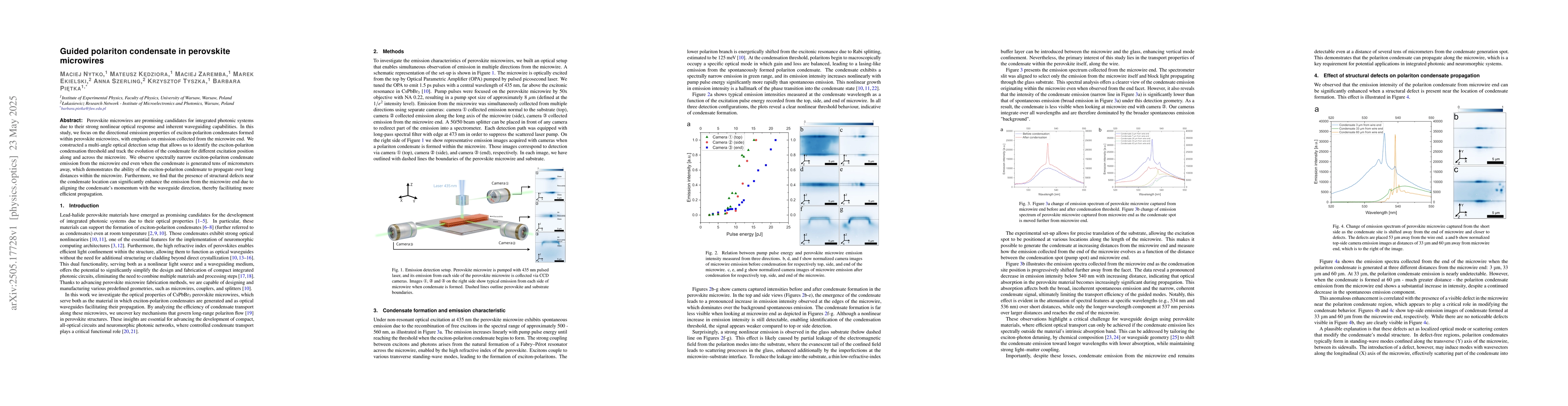 Thumbnail for Guided polariton condensate in perovskite microwires