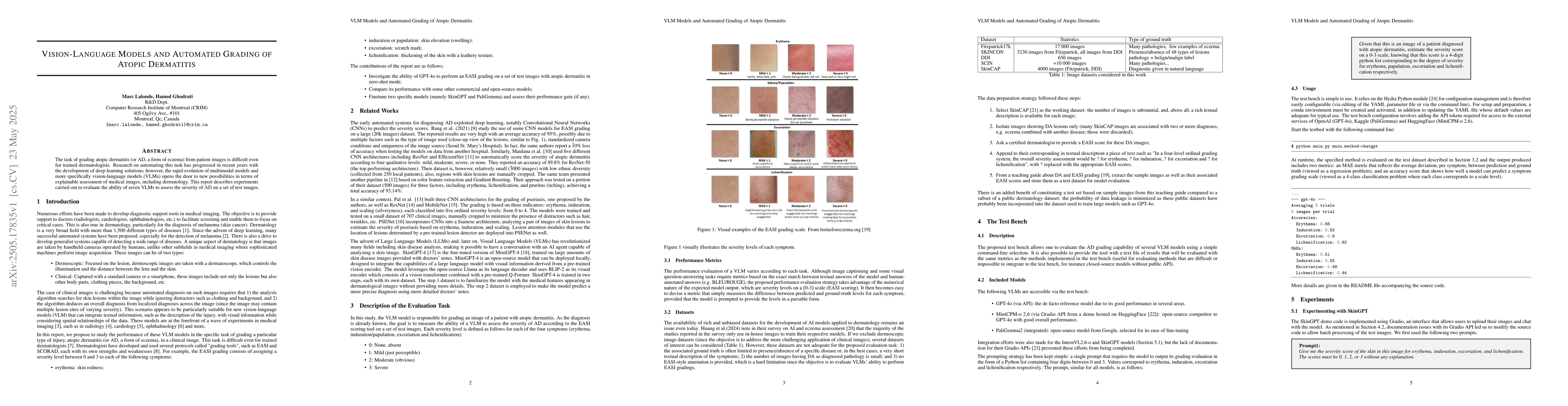 Thumbnail for VLM Models and Automated Grading of Atopic Dermatitis