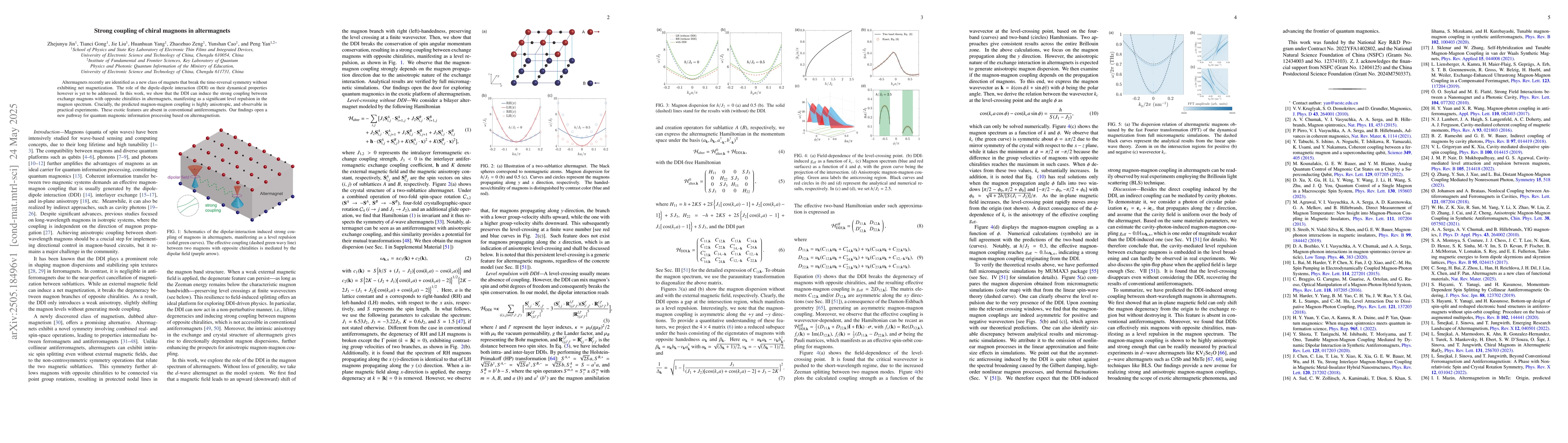 Thumbnail for Strong coupling of chiral magnons in altermagnets