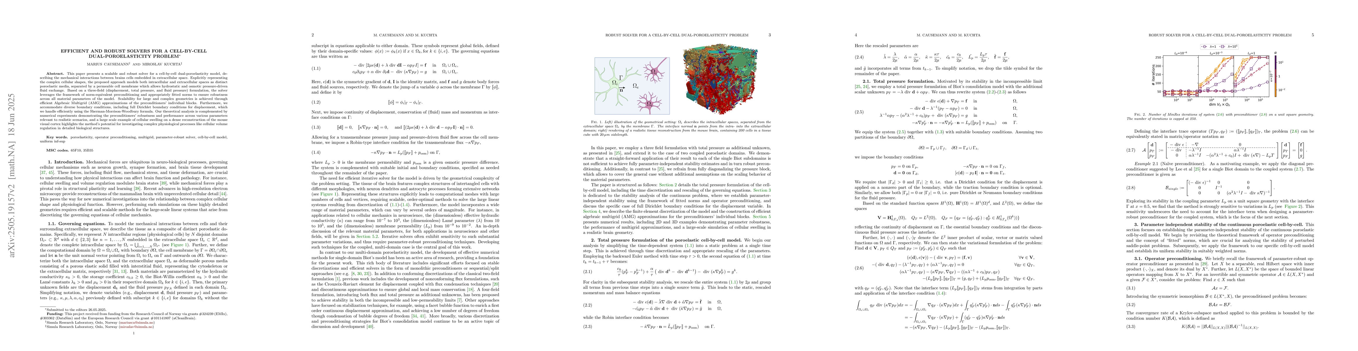 Thumbnail for Efficient and robust solvers for a cell-by-cell dual-poroelasticity
  problem