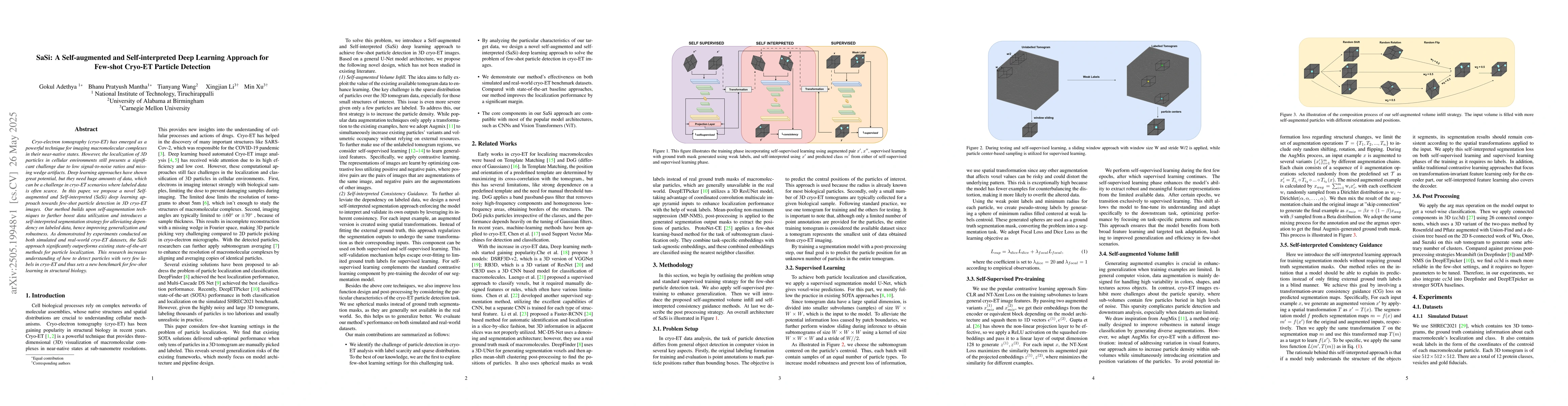 Thumbnail for SaSi: A Self-augmented and Self-interpreted Deep Learning Approach for
  Few-shot Cryo-ET Particle Detection