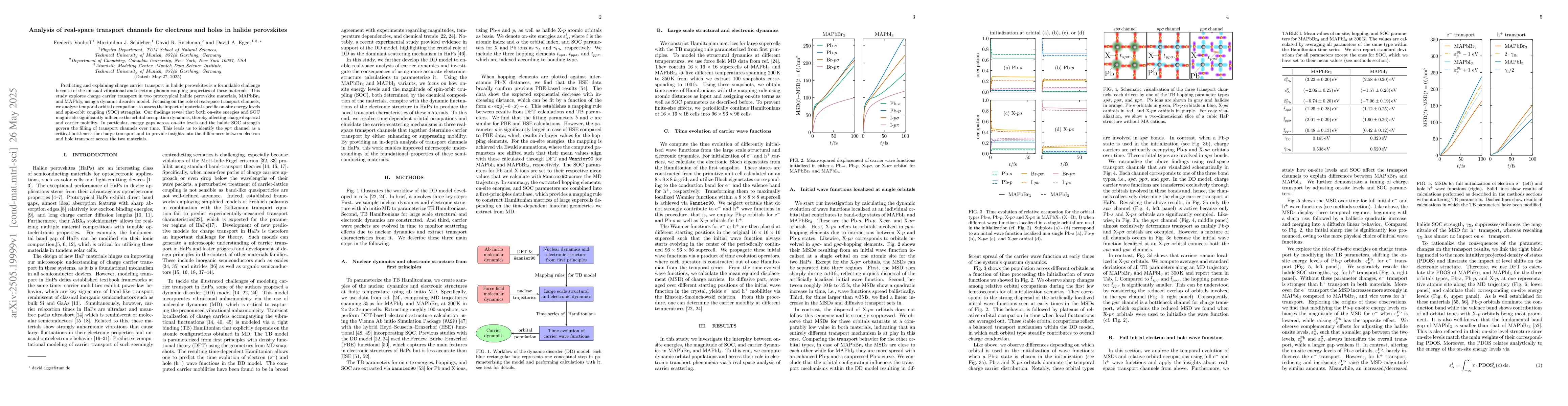 Thumbnail for Analysis of real-space transport channels for electrons and holes in
  halide perovskites