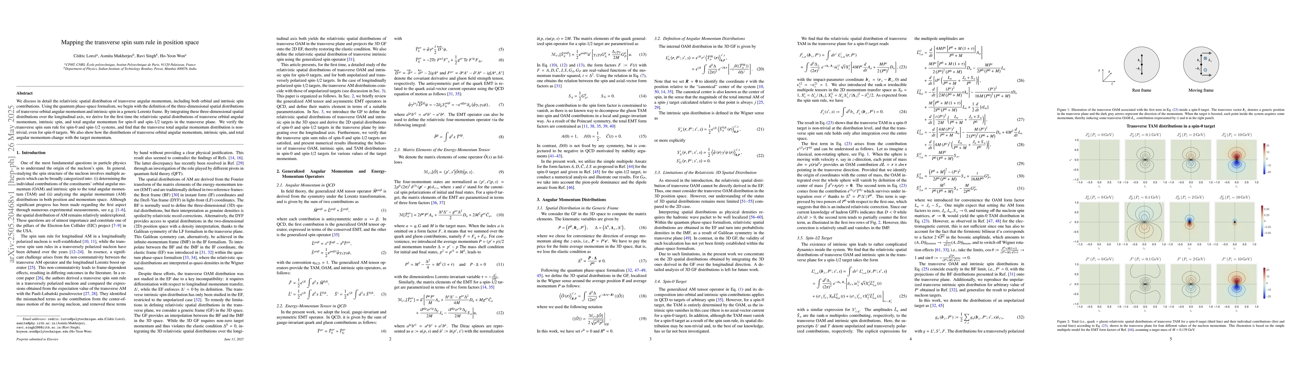 Thumbnail for Mapping the transverse spin sum rule in position space