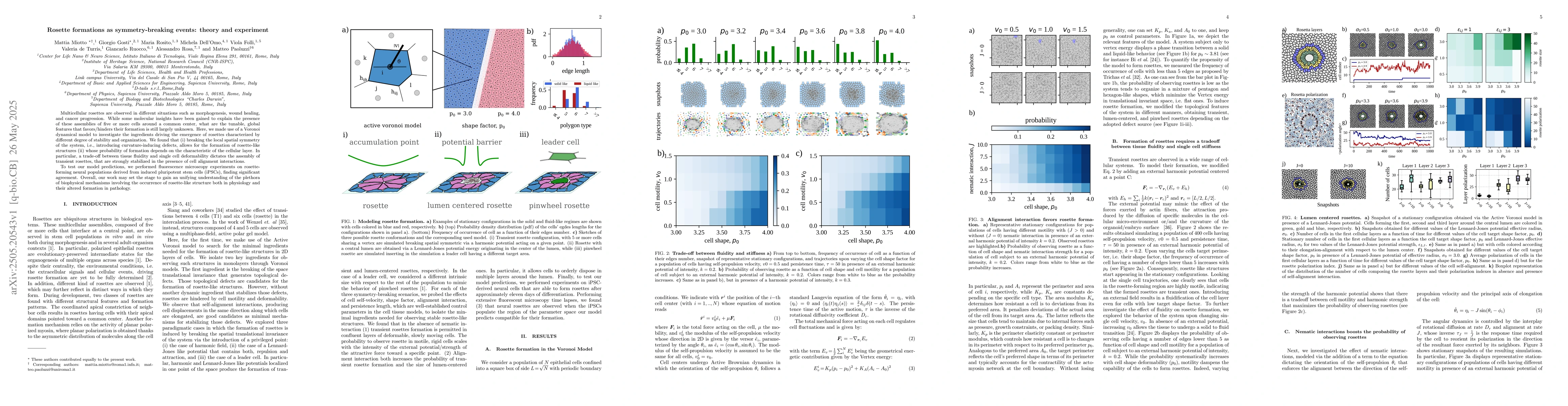 Thumbnail for Rosette formations as symmetry-breaking events: theory and experiment