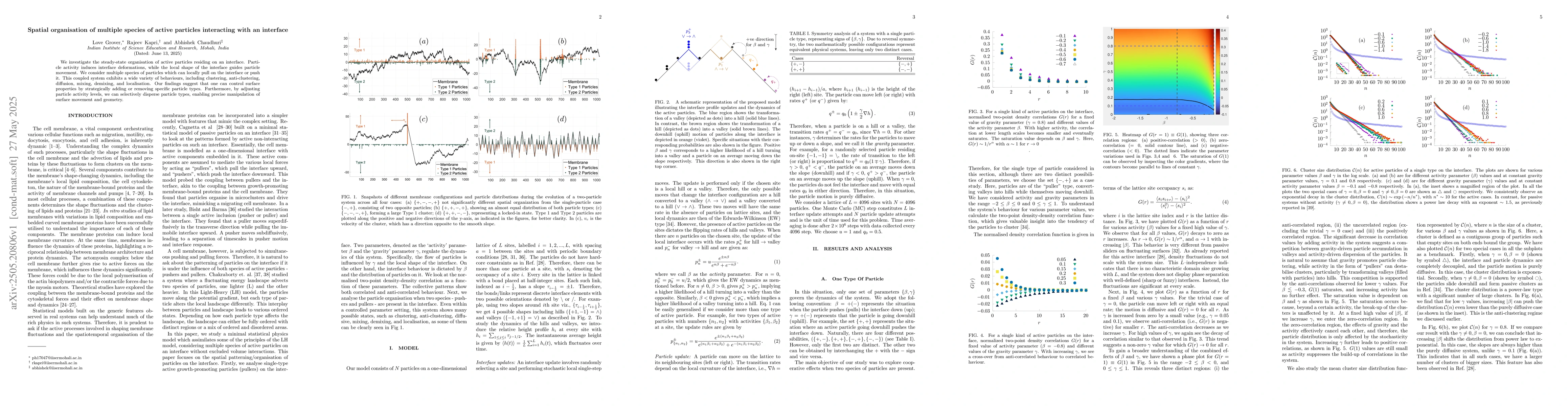 Thumbnail for Spatial organisation of multiple species of active particles interacting
  with an interface