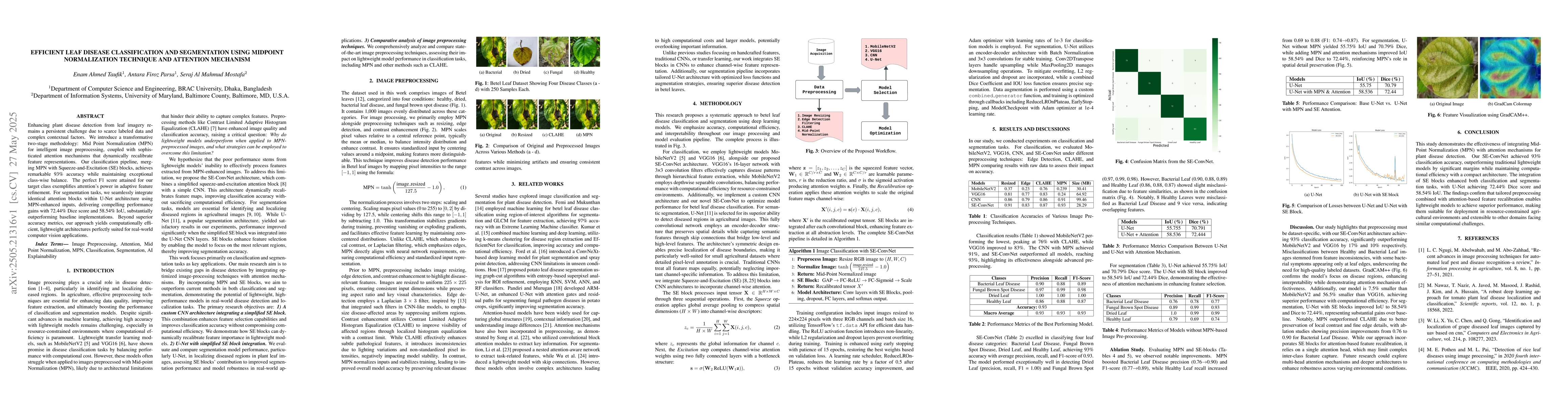 Thumbnail for Efficient Leaf Disease Classification and Segmentation using Midpoint
  Normalization Technique and Attention Mechanism