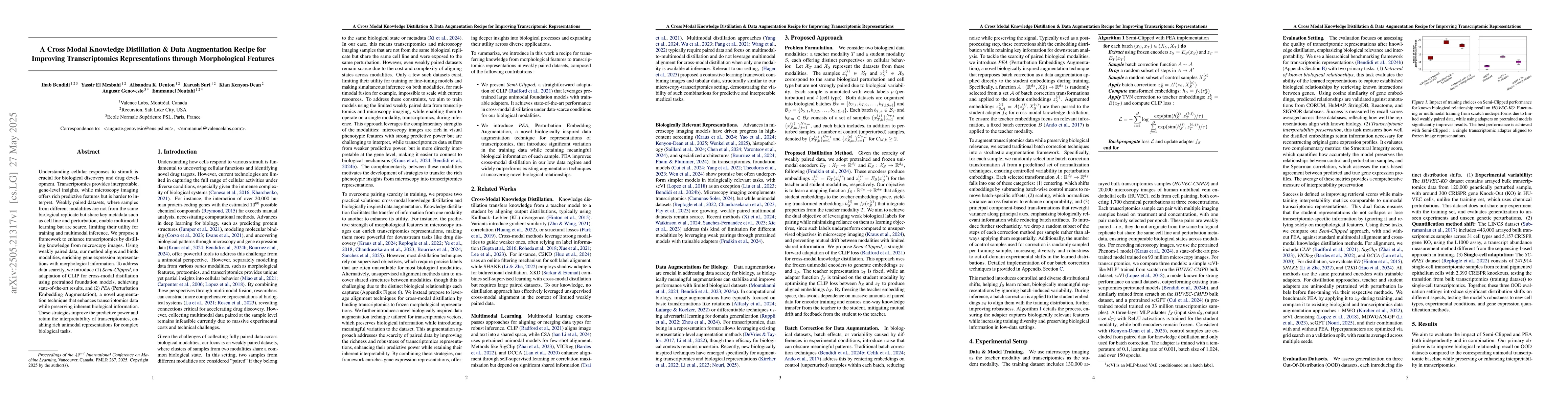 Thumbnail for A Cross Modal Knowledge Distillation & Data Augmentation Recipe for
  Improving Transcriptomics Representations through Morphological Features