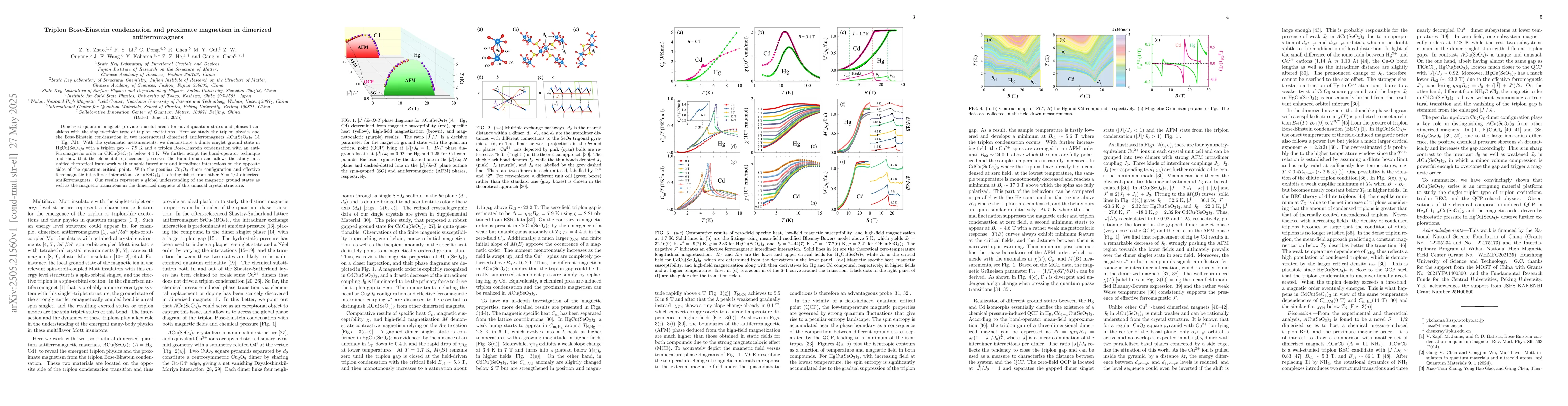 Thumbnail for Triplon Bose-Einstein condensation and proximate magnetism in dimerized
  antiferromagnets