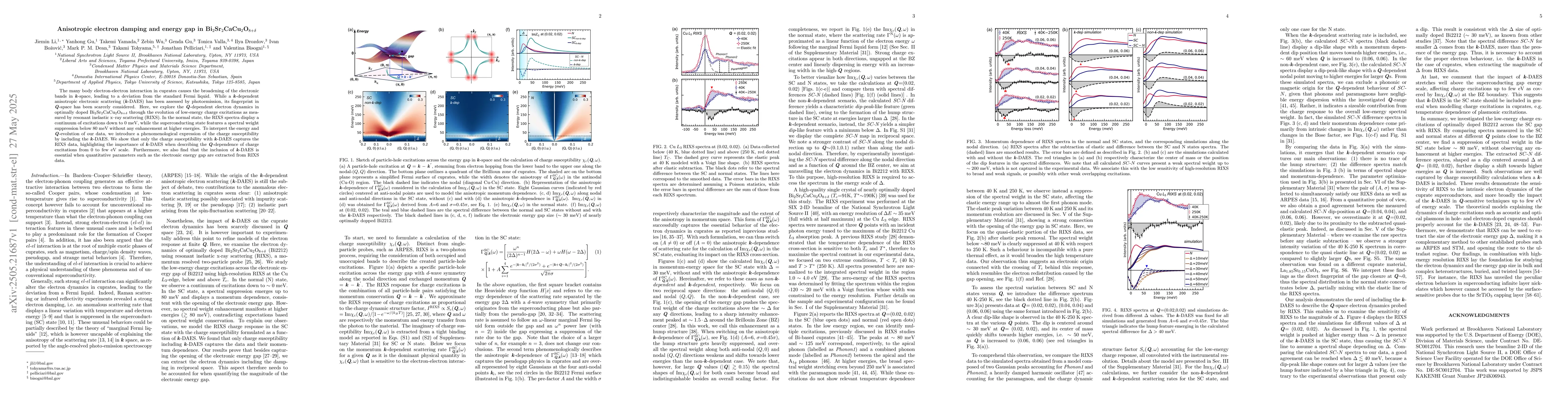 Thumbnail for Anisotropic electron damping and energy gap in
  Bi$_2$Sr$_2$CaCu$_2$O$_{8+δ}$