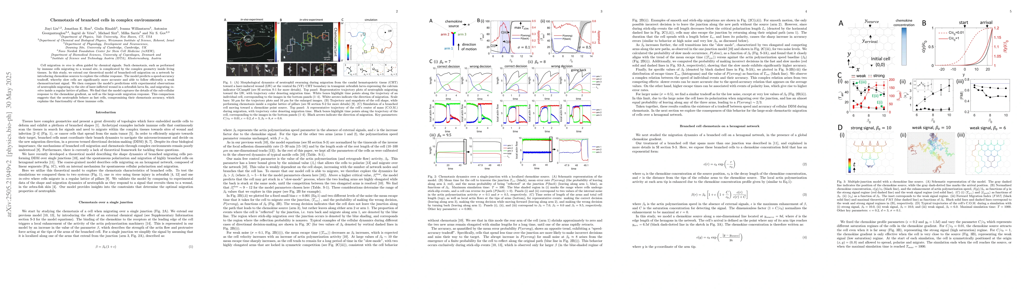 Thumbnail for Chemotaxis of branched cells in complex environments