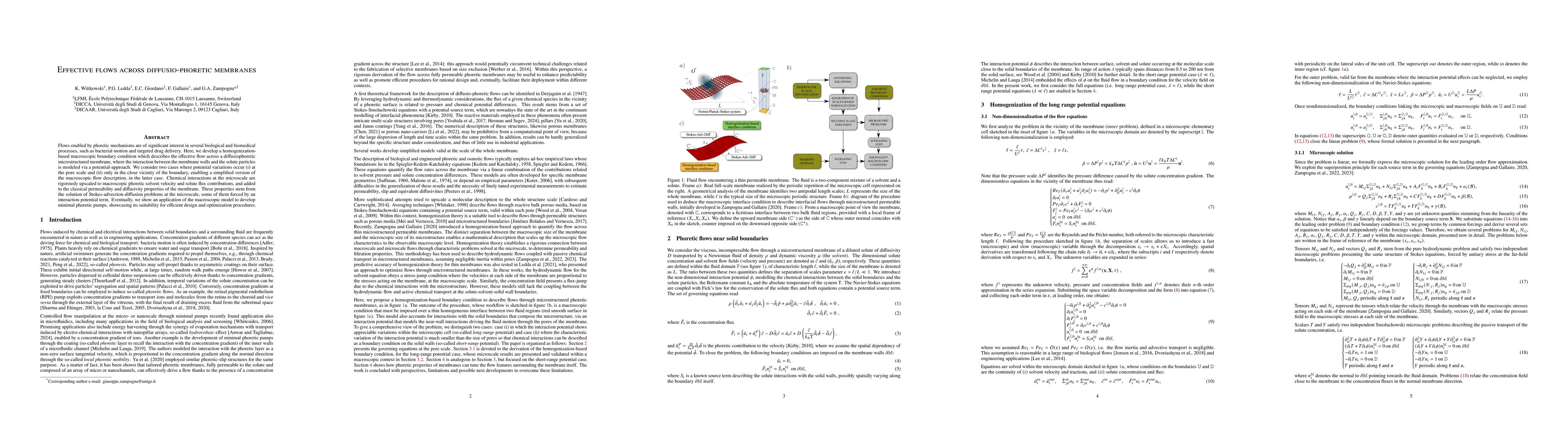 Thumbnail for Effective flows across diffusio-phoretic membranes