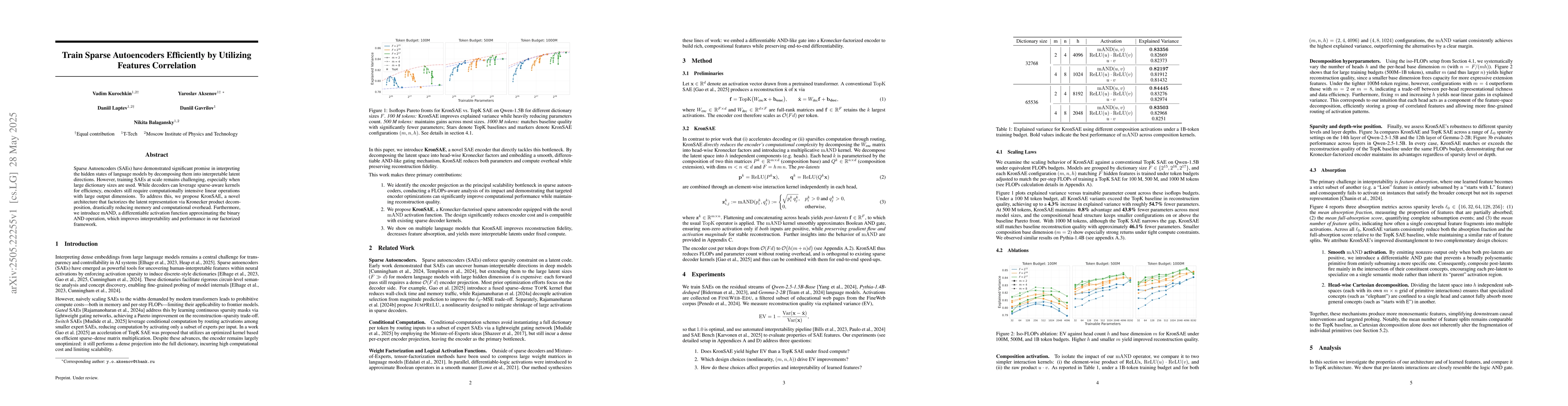 Thumbnail for Train Sparse Autoencoders Efficiently by Utilizing Features Correlation