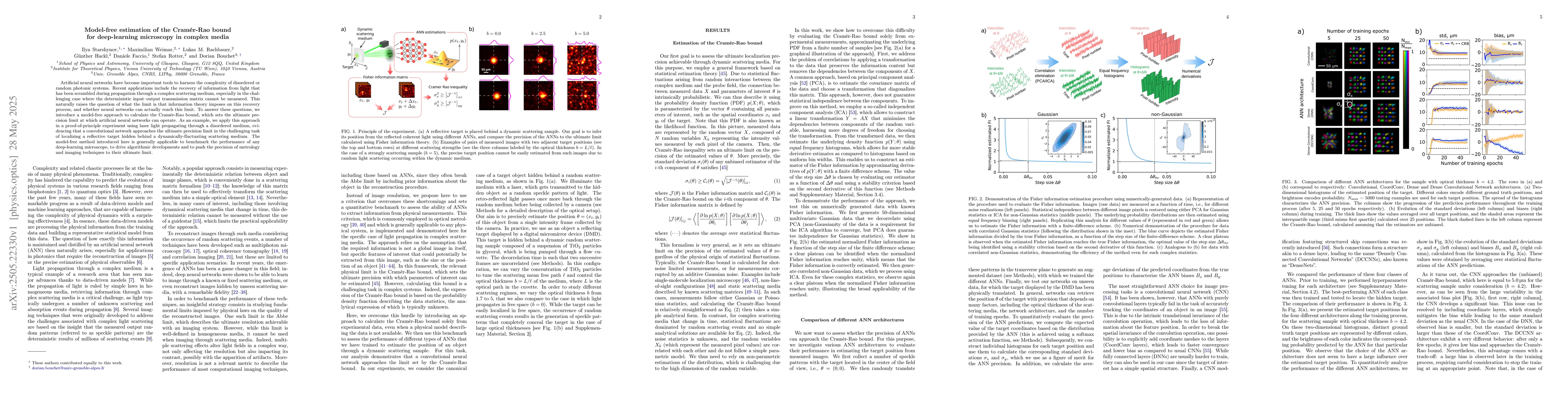 Thumbnail for Model-free estimation of the Cramér-Rao bound for deep-learning
  microscopy in complex media