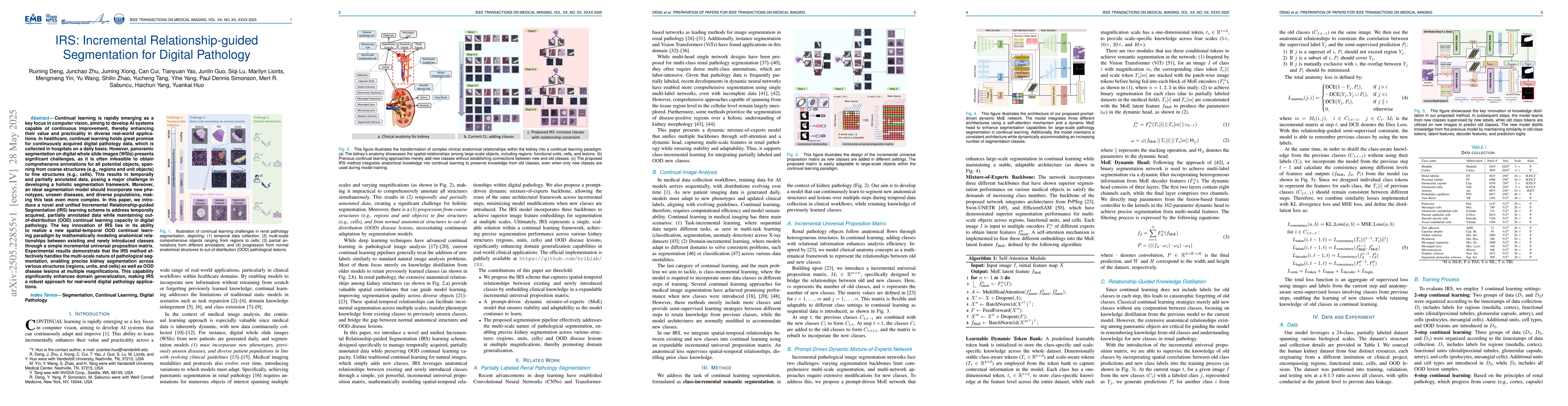 Thumbnail for IRS: Incremental Relationship-guided Segmentation for Digital Pathology
