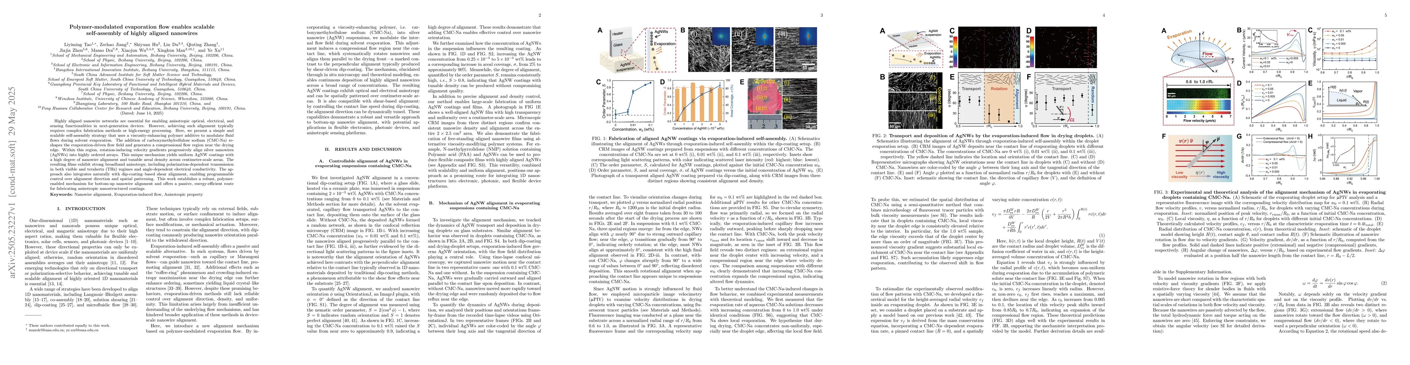 Thumbnail for Polymer-modulated evaporation flow enables scalable self-assembly of
  highly aligned nanowires