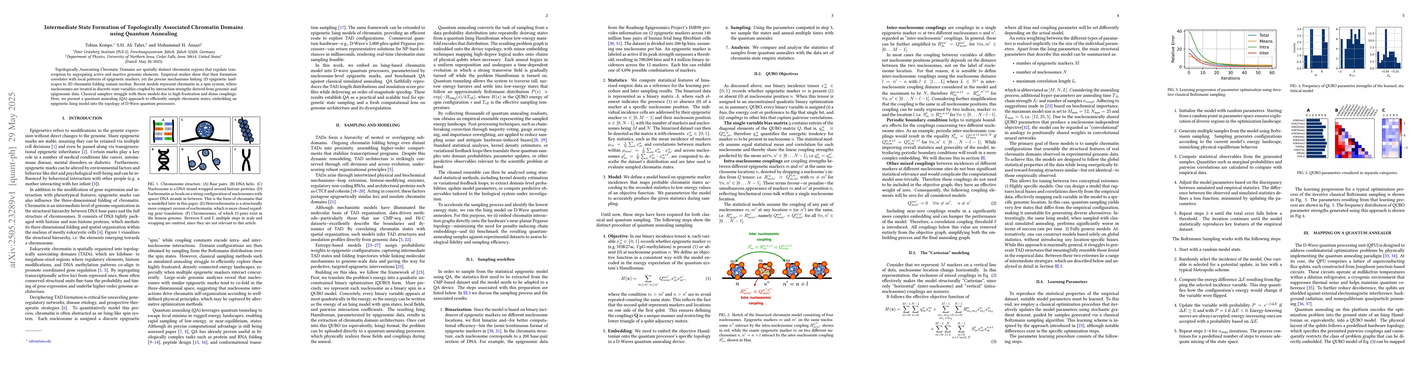 Thumbnail for Intermediate State Formation of Topologically Associated Chromatin
  Domains using Quantum Annealing
